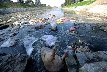 2015年至2016年觸目驚心的水污染事件，再不用它生命就到盡頭了